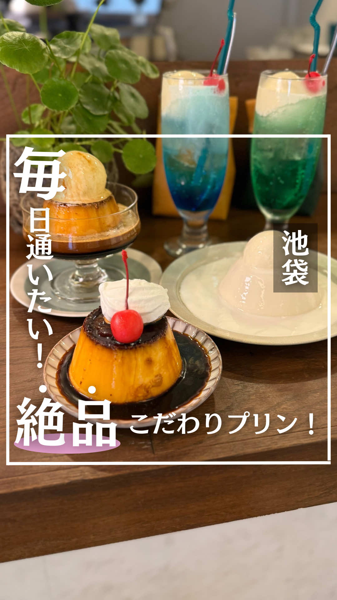 ↓投稿の詳細はこちらをタップ↓ ▶︎🏠 オールシーズンズコーヒー 池袋店 ▶︎📍 東京都豊島区西池袋5-14-3 ▶︎⏰12:00 - 19:00(L.O. 18:30)月-金 ▶︎⏰10:00 - 19:00(L.O. 18:30)土日祝 ▶︎😪定休:年末年始 ▶︎🚃JR池袋駅西口C2出口より徒歩5分 ▶︎✍️食べログ :3.43(口コミ116人)  ▶︎💰支払い:カード・電子・QR可 ◼︎◼︎注文したメニュー(税込)◼︎◼︎ ▶︎クラシックプリン ¥700 ▶︎プリンアフォガード ¥800 ▶︎白いコーヒープリン ¥800 ▶︎メロン・ラムネソーダ ¥650 ※+¥100でアイストッピング ◼︎◼︎◼︎おすすめ利用シーン◼︎◼︎◼︎ 1人で・・・◎ 友達と・・・◎ 宴会・・・× 会食、接待・・・× デート・・・◎ 子連れ・・・◎(絵本あります) タバコ・・・× 作業・・・× ◼︎◼︎◼︎◼︎ ◼︎◼︎感想◼︎◼︎◼︎◼︎ ◼︎ 本日SNS総フォロワー数50万人の プリン王子のおすすめでやってきました。王子のおすすめなら間違いない！新宿三丁目にもあるよ！ ここのプリン本当美味しい🍮😋 ねっちりとした食感、やや固め。 甘すぎず食べやすいんだよね♪ アイスの上から、エスプレッソをかける!アフォガードもコーヒーの苦味と相まってこれは大人の贅沢な味わいだ... また新メニューの白いプリント！ これただのミルクプリンと思いきや、コーヒーの味がするんだよね☕️ほんのりと香るコーヒーに、ミルクのコク。 レトロかわいい、クリームソーダもいいね！プリン王子情報どうもありがとう！ ◼︎◼︎ ◼︎◼︎◼︎◼︎ ︎◼︎◼︎◼︎ ◼︎◼︎◼︎◼︎◼︎ #池袋グルメ #池袋カフェ #池袋デート #池袋