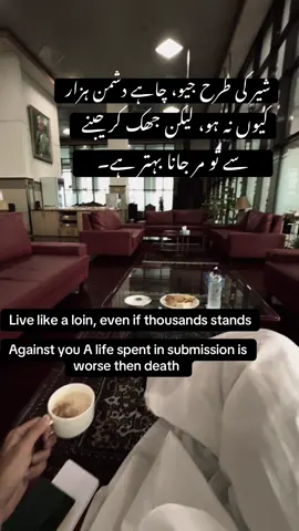 Live Like A Loin 🚩