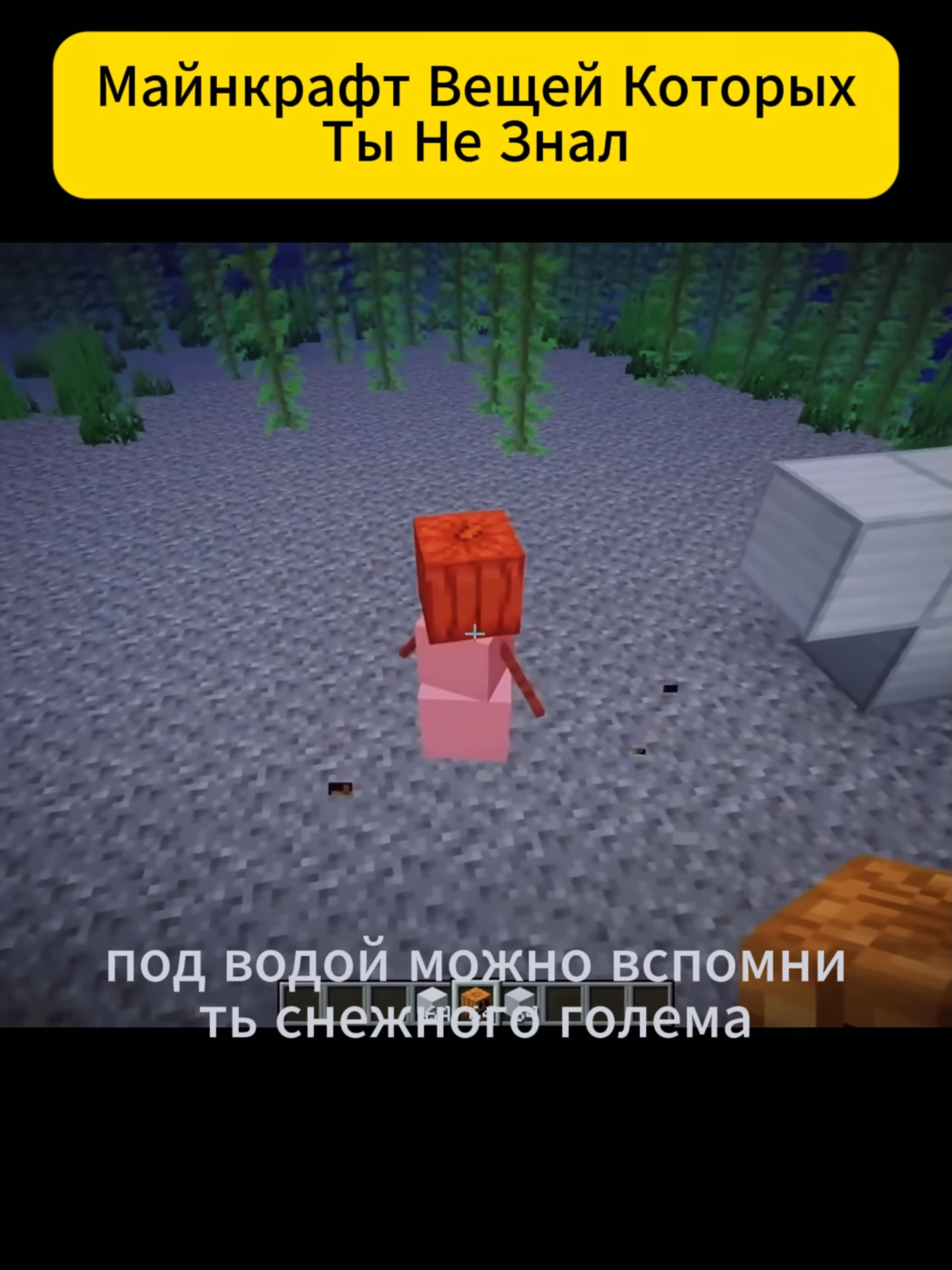Майнкрафт Вещей Которых Ты Не Знал_06#Майнкрафт #TheEnd #МайнкрафтИстория #МайнкрафтВыживание #Ловушка #Minecraft #TheyTrickedMe #MinecraftAdventure #MinecraftStory #RevengeIsComing #MinecraftDrama #СервисДоставки #МайнкрафтРП #МайнкрафтПриключения #Игры #МайнкрафтСервер #авитодоставка #РолеваяИгра #Minecraf #DeliveryService