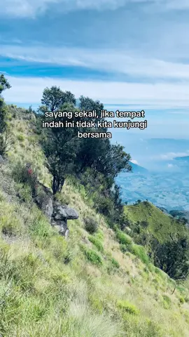 mana janjinya? katanya mau ajak aku ke merbabu #merbabumountain #merbabu3142mdpl #merbabuviasuwanting #aboutyou #pendakigunung #pendakifomo 