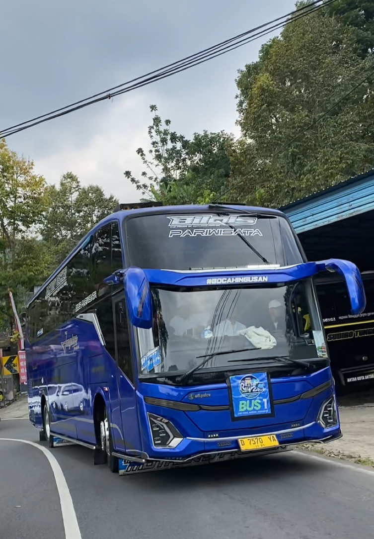 Tabole bale versi jangule bilqis perdana ke tawangmangu🤩🔥#busmaniacomunityindonesia #busmaniacommunity #busmania #busmaniaindonesia #busmaniacomunityindonesia @Kitonk14 @RemukanBakwan @Farid saputro @rkwhy27 @Jang Uleee Trans @Janguleee Bilqis 01 @ULEE @Team Ajag Ijig 