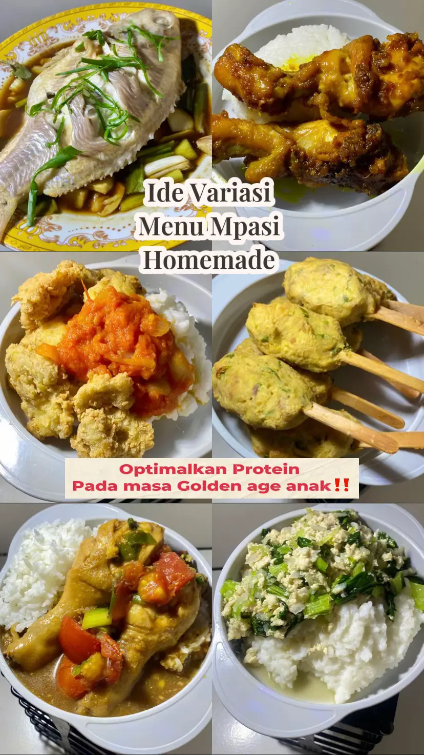Optimalkan pemberian protein di masa golden age sikecil supaya anak tumbuh besar dan tinggi #bundabaskaraa #mpasihomemade #mpasi #mpasibayi #menumpasi #mpasiantigtm 