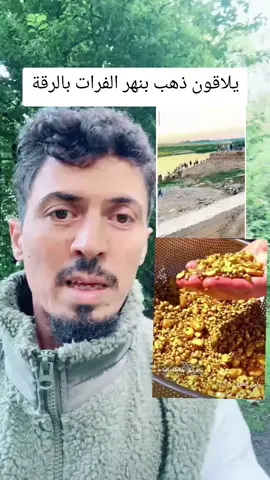 شياب من الرقة يلاقون ذهب على نهر الفرات#محمدالعزيز 