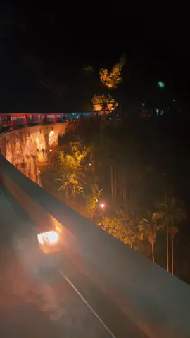 Golden hours on the rails ...🕊️where every curve tells a story🚂✨  #srilanka #viral #onemillionaudition #travel #nature #nightmail #badulla #ninearchbridge #traveling#fyp #ella#trending 