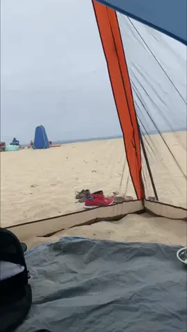 Cats on the beach 🏝️ #funnycat #cat #funnyvideos #funnytiktok #tiktokcats #funny #tiktok #Foryou #lovetiktok #usa #catsoftiktok 