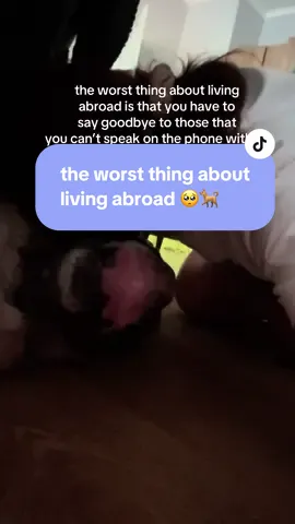 i feel like not enough people speak about this part of living abroad, when we come back to our hometowns and then we have to leave back…and say goodbye to our pet babies, which cannot speak on the phone with us 😭 every time i leave, my heart is breaking for my furry babies  #belgianmalinois #animalsoftiktok #animallover #lifeabroad #expatlife #malta🇲🇹 #forupageシ  | life abroad be like | dark sides of living abroad | saying goodbye to a dog | scared of losing you |