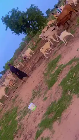 👏👏👏👏