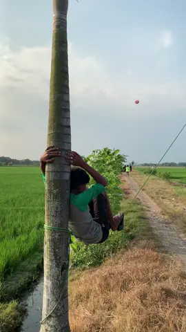 50% kak