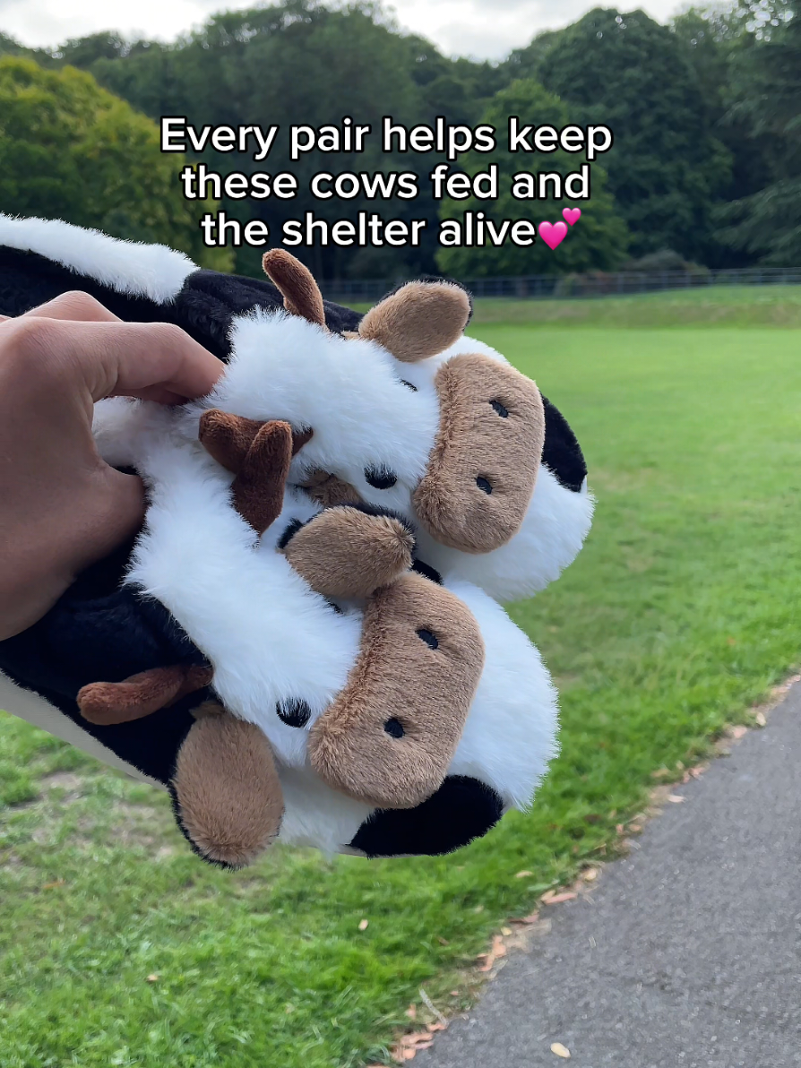 Sharing this video would mean the world to me❤️ #Cow #cowslippers #cute #handmade #shelter #farm 