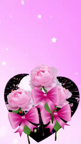 lovely moments 💕 💖 ✨️ ❤️ ♥️ 💛 💕 💖 ✨️ ❤️ ♥️ 
