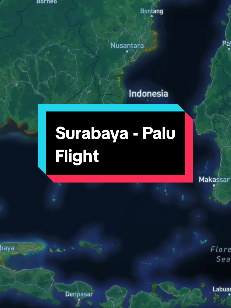 Surabaya - Palu #surabaya #palu #sulteng #jatim #fypage #trending #flight 