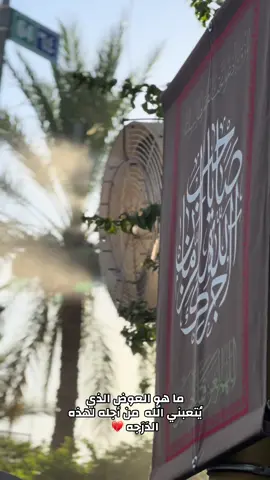 اللهُم صل على مُحمدٍ وال مُحمد -    ,ّمتابعه ,ّلايك ,ّمشاركة  - - #اللهم_صلي_على_نبينا_محمد #ام_البنين_عليها_السلام #اللهم_عجل_لوليك_الفرج #اهل_البيت_عليهم_سلام #الامام_العباس_عليه_السلام #ياصاحب_الزمان #السلام_عليك_يا_ابا_الفضل_العباس_ع #السلام_على_بقية_الله_في_أرضه #العجل_يامولاي_يبن_الحسن #ادركنا_يا_بقية_اللّه #جابر_الكاظمي_باسم_الكربلائي #اديب_الطف_جابر_الكاظمي #باسم_الكربلائي_سفير_الانشاد_الحسيني #باسم_الكربلائي_سفير_الدمعه_الزينبيه #باسم_الكربلائي_سلطان_المنبر_الحسيني #باسم_الكربلائي_حنجرة_العصر #باسم_الكربلائي-خادم_لن يتكرر #باسم_الكربلائي_رادود_ما_له_مثيل #الابداع_الباسمي_فاق_الخيال #باسم_الكربلائي_المأتم_ثقافتنا #باسم_الكربلائي_عشق_الحسين #باسمنا_واحد_وليس_له_عدد #باسمنا_الغالي_بأمانتك_يا_علي #تصويري ٣ #كربلاء #اللهم_صل_على_محمد_وال_محمد #باسم_الكربلائي #الامام_الحسين_عليه_السلام explore_لايك #اكسبلور# #اللهم_صل_على_محمد_وال_محمد #مولد_الامام_الحسين #لايك #اكسبلور_explore #اللهم_صل_على_محمد_وال_محمد #مولد_الامام_الحسين #explore #fyp * #fyp اكسبلورر# #viral #viral باسم_الكربلائي #شعبان# #اكسبلور_فولو #باسميون_حسينيون_كربلائيون #explorepage✨ 