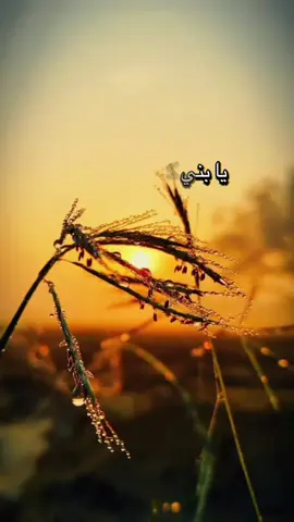 #يابني 