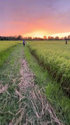 🌾🏡#เด็กบ้านนอก #อิสานบ้านเฮา #ใส่เบ็ดปลา 