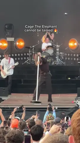 #concerts #musicartist #rockband #fyp #cagetheelephant #lollapalooza 
