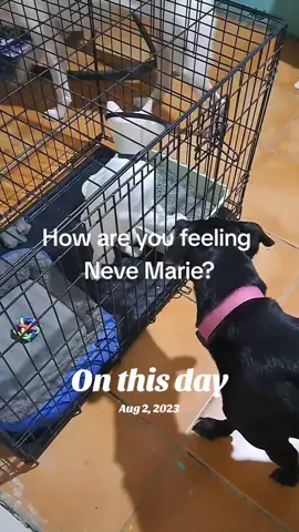 #onthisday