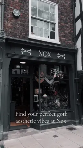 Find your perfect Goth Aesthetics at Nox!  It’s a crazy busy today in York, so make sure we’re on your list of places to visit! #nox #york #goth #gothic #aesthetic #vibes #darkvibes #fyp #independantartist 