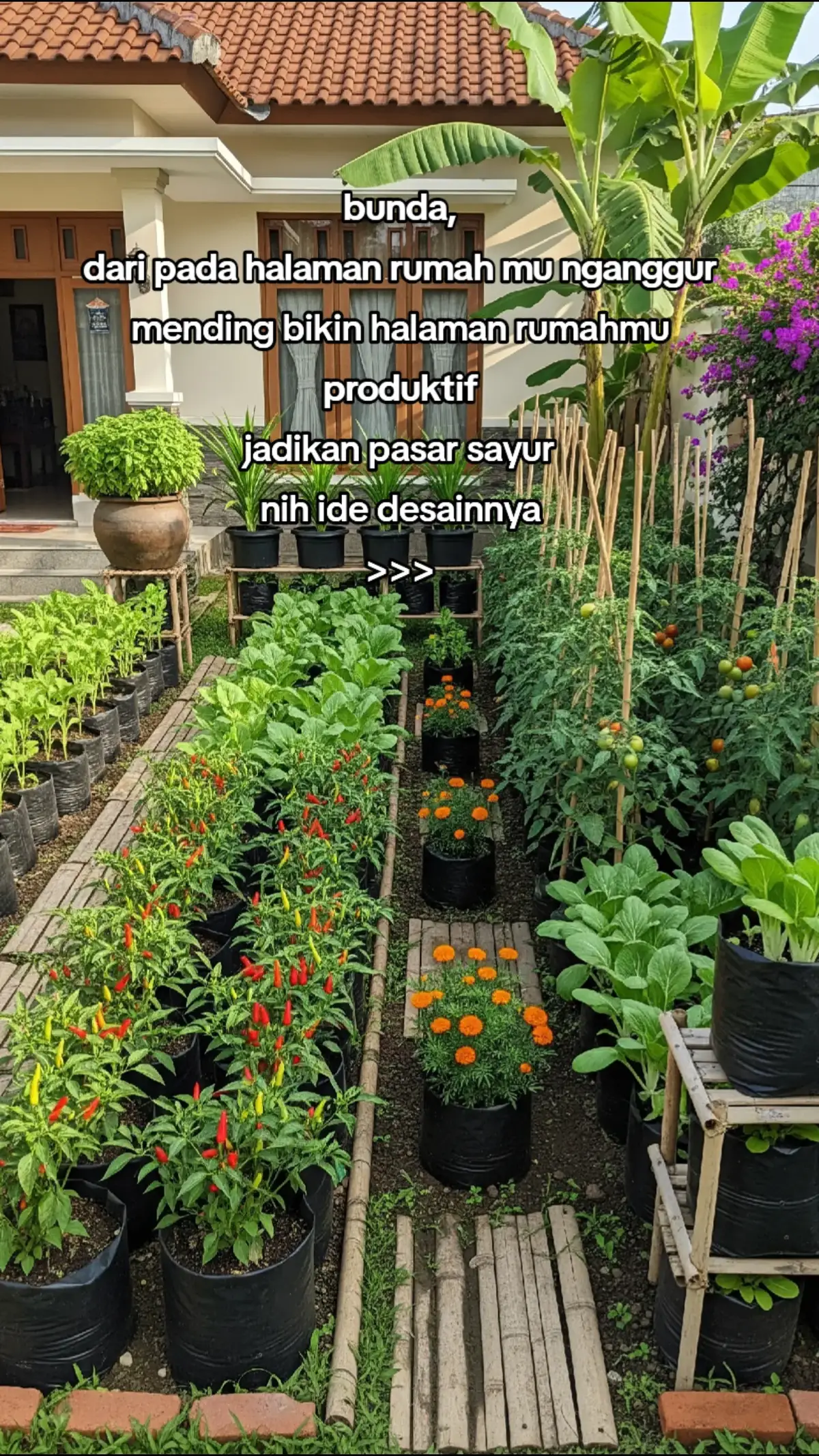 disclaimer foto tersebut dibuat oleh AI sebagai refrensi desain bagi yg cari ode desain kebun halaman rumah #berkebundirumahaja #minigarden #gardening #urbangarden #GardenTips #tipsberkebun #tunasteras #halamanrumah 