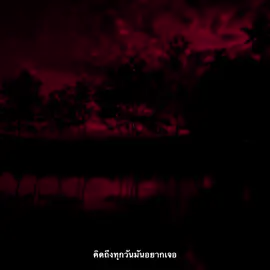 คิดถึงเหลือเกิน🙁#เธรดเพลง #รับโปรโมทเพลง #สตอรี่ความรู้สึก #ยืมลงสตอรี่ได้ 