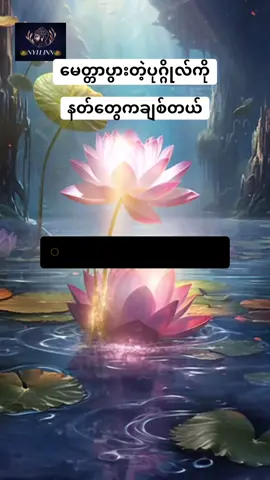 မေတ္တာပွားများပြီးလူနတ်ချစ်သောပုဂ္ဂိုလ်များဖြစ်ကြပါစေဗ​ော🙏#တရားတော်များ🙏🙏🙏 #nyilinn #ပြန်လည်မျှဝေပေးတာပါ🙏 #crdပေးပါတယ် #fyupageシ #fypシ゚ @👑𝐍𝐘𝐈 𝐋𝐈𝐍𝐍👑(2)✅ 