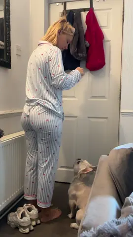 Giving the babies some treats #fyp #dogs #treat #pyjamas 