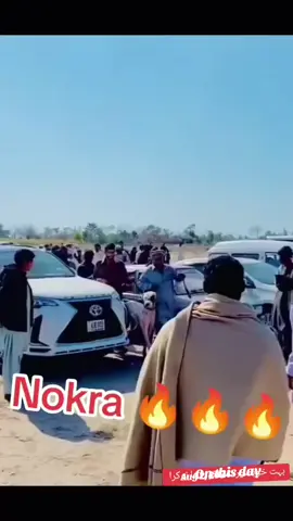 #onthisday #forypage❤️❤️ #videoviral #foru #unitedstates #unitedstates #video #viralvideos #bullykutta #bully #bulldog #bullykuttalovers #bullishokeen #786mahsab #mahsabdhanyal #bullykutta🔥😎 #fyp #dogs #ukdogs #foryoupage❤️❤️ #dogsoftiktok 