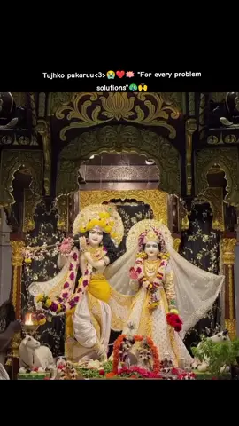 #radhakrishna #iskcon #blessings #radheeradhee #hareykrishna🦚❤️ #fypシ #lordkrishna 