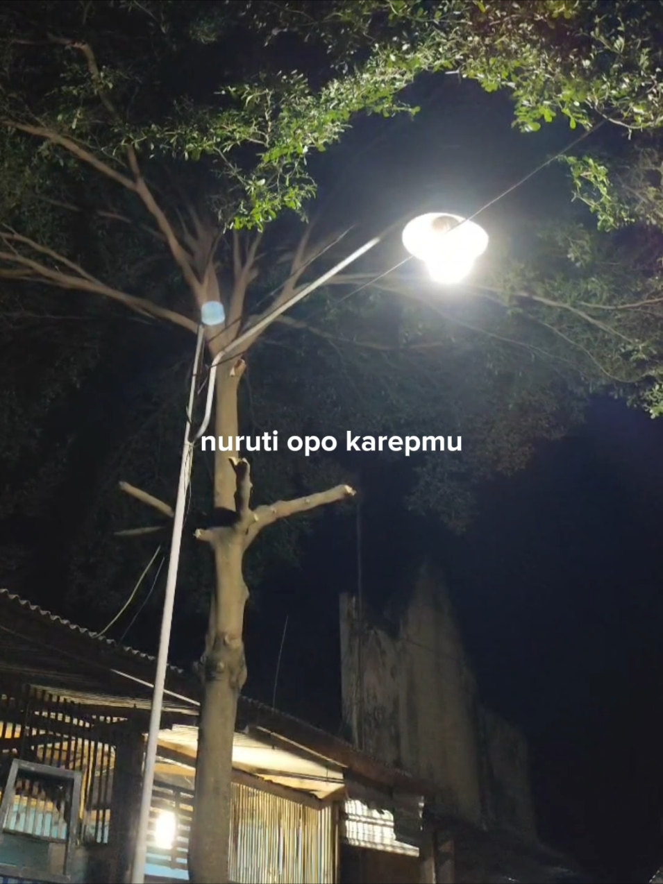 Duh sayang ngapuntene saestu.. #overlay #liriklagu #lagujawa #jawapride #sabar 