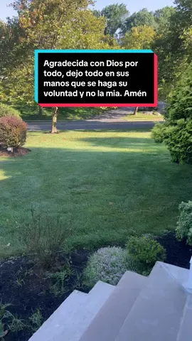 Buenos días. Dios los bendiga y los cuide siempre. #paratupagina #buenosdias #bendiciones🌹❤️🙌🏻🙌🏻🙏 #paisajes🙏❤️😍 #hermosospaisajes #parati #foryoupage❤️❤️ #viralvideo #tiktok #4upageシ #forypu #graciasporelapoyo #viral?videotik 