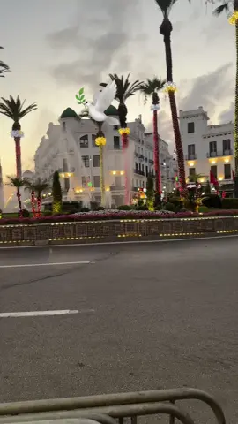 #tetouan🕊🇲🇦 