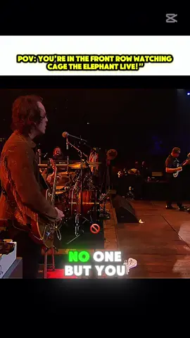 POV: You’re in the front row watching Cage The Elephant LIVE!”