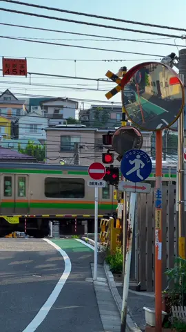 東京に来たことがある人は、きっと東京の街を歩くのが好きになるんじゃないかな🚃🐈🌅  #東京散歩 #夏の街角 #日常を切り取る #TokyoVlog  #都会の風景  #tokyostreet #vibes #japan #tokyo #日本 #cinematic #foryou 