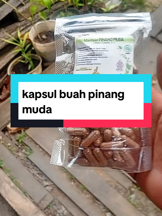 #kapsulbuahpinangmuda 