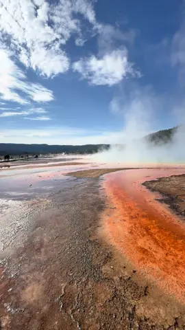 Feels like another planet - Grand Prismatic Springs is beyond beautiful with those colors 🤩 #wyoming #traveltiktok #wanderlust #travellife #travelbucketlist #yellowstonenationalpark #grandprismatic #grandprismaticsprings 