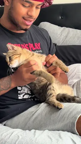 💕#cat #catlover #funny#Love#cute 