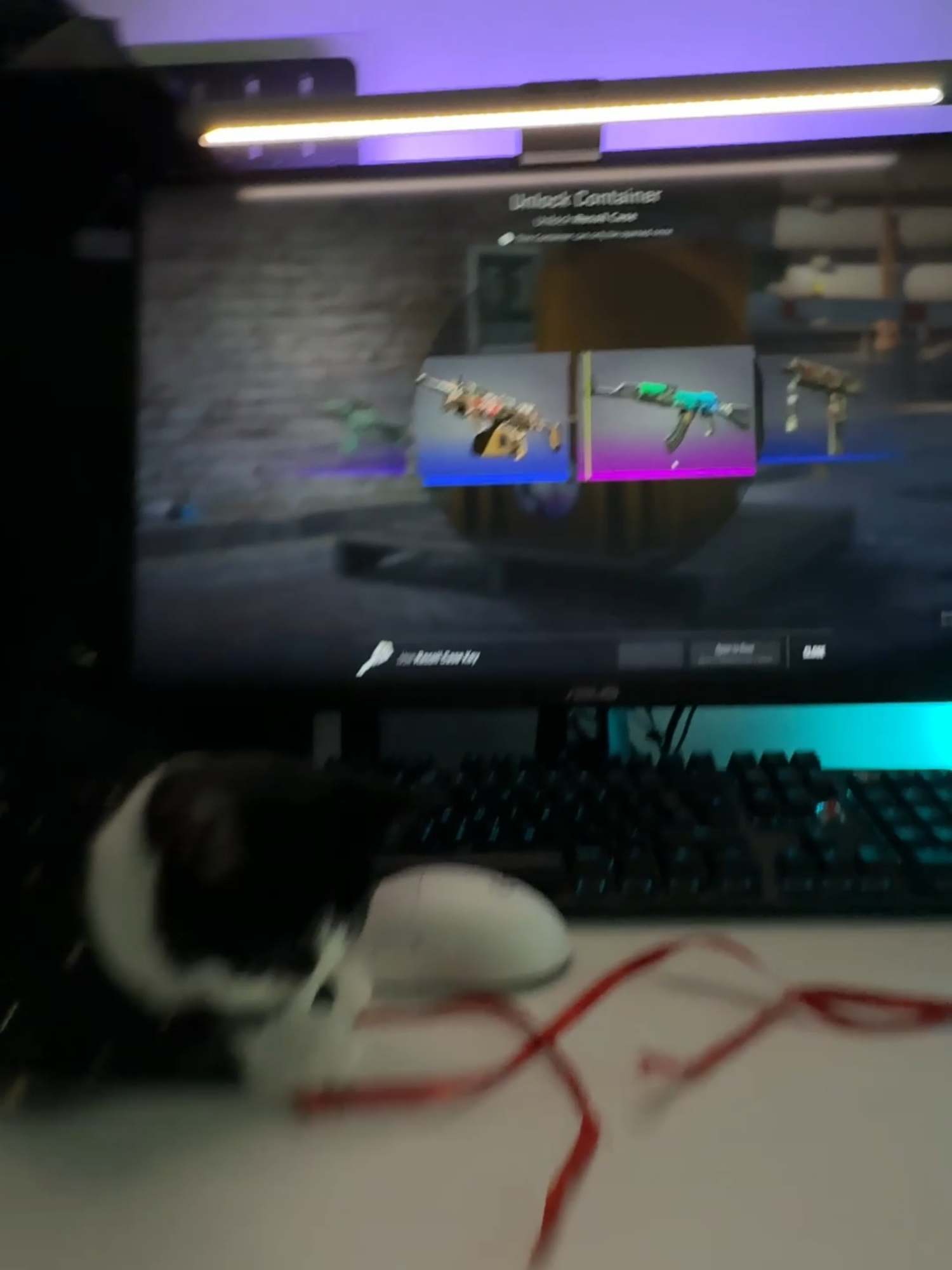 #Amur🐱 #amurday #catcs #opencases #csgo #catopencases #cs2 #counterstrike