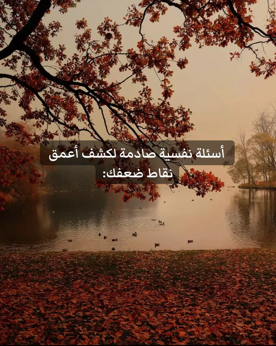 هذه الأسئلة ليست “سهلة”، لكنها تمرين نفسي عميق. الإجابات الصادقة — حتى لو كانت قاسية — تُحرر داخلك وتخفف من ضغطك النفسي بشكل فعلي #علم_اجتماع #اكسبلور #علم_نفس #علاج_سلوكي_معرفي #ناجي #نقاط_ضعف #تحليلات_مرضية #استشارات_زوجية #مرض_نفسي #ارشاد_اسري 