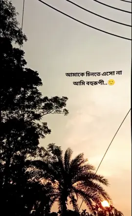 বহুরূপী.. 🙂 . . . . . #foryou #viral #100kviews #fyp #k 