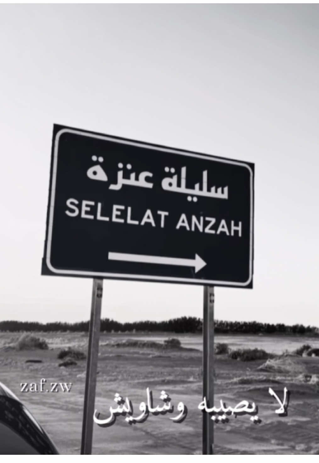 ‏يا شلاش قلبك لا يصيبه وشاويش #عنزه #حكام_الجزيره #بني_وايل #خمشه_عنزه #اكسبلور #foryou 