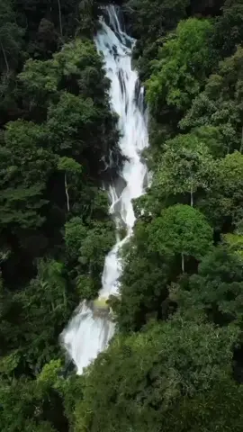 Curug Bibijilan adalah salah satu destinasi wisata alam yang populer di Jawa Barat, Indonesia.  Lokasi: Curug Bibijilan terletak di daerah Jawa Barat, tepatnya di Kabupaten Sukabumi. Keindahan Alam: Curug Bibijilan menawarkan keindahan alam yang spektakuler dengan air terjun yang indah dan hutan yang rimbun.  Aktivitas Wisata: Pengunjung dapat melakukan aktivitas seperti hiking, berenang, dan menikmati keindahan alam. Curug Bibijilan adalah destinasi wisata alam yang menawarkan kesempatan untuk menikmati keindahan alam dan melakukan aktivitas outdoor.#curugbibijilan #jawabarat #pesonaalamindonesia