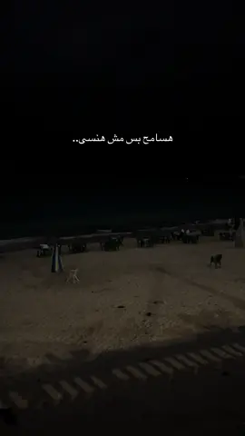 #viralvideo #fyppppppppppppppppppppppp #fyp #marsamatruh #marsa_matroh #اكسبلورexplore #music 