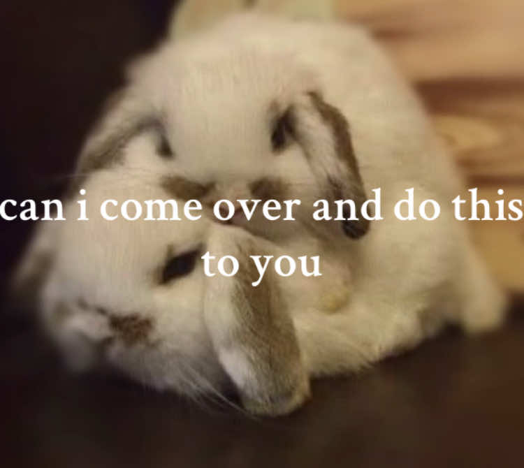 pretty pls #ilovemybf #fypシ #foryoupage #ilovemyboyfriend #bunniesoftiktok #relatable #fentysuperbrandday #couplegoals #couple #friendshipgoals #foryoupageofficiall 