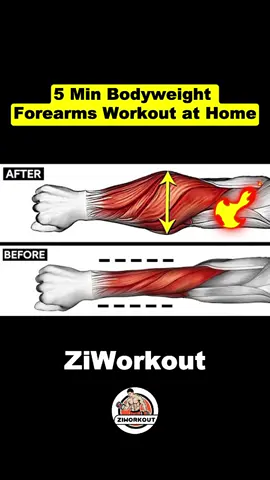 5 Min Bodyweight Forearms Workout at Home! #forearmsworkout #forearms #Fitness #exercise #workout 