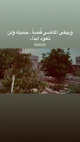 ولن تعود ابداً#تصويري_احترافي_الاجواء👌🏻🕊😴 #جنوب_الموصل #tiktok #foryou #اعادة_النشر🔃 #بدون_هشتاق 