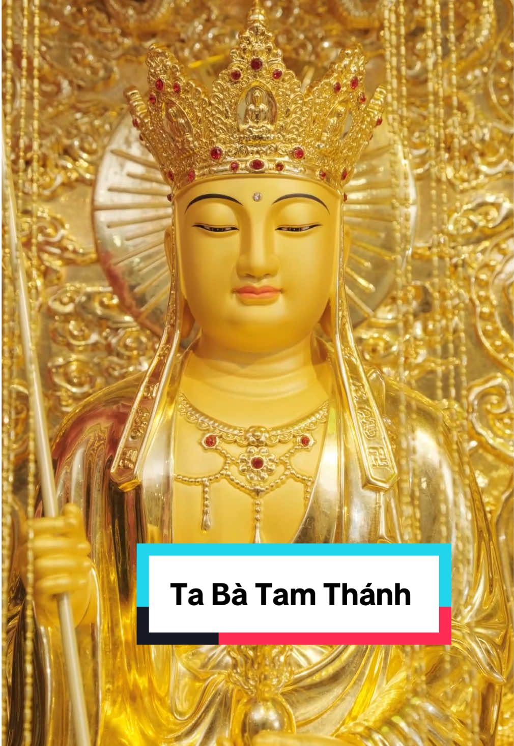 Nam mô A Di Đà Phật NGUYỆN CHO AI HỮU DUYÊN CHIÊM BÁI ĐỀU CÓ THỂ SỚM AN VỊ TÔN TƯỢNG TA BÀ TAM THÁNH  #kimcuonghylac #kchl #tabatamthanh 