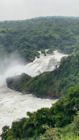No trending audio to caption on this, just the Murchison Falls… The thunder. The spray. The raw force of the Nile squeezing through a 7-meter gorge and exploding 43 meters down with a sound that silences everything else. No filter can capture the energy. No track can amplify the feeling. #nature #waterfall #water #travel #discovery #africatravel #grammys 