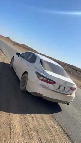 #تبوك 