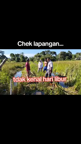 #fyp #WRS #PjKades #Bangundeso #BanjaSari #engganoisland 