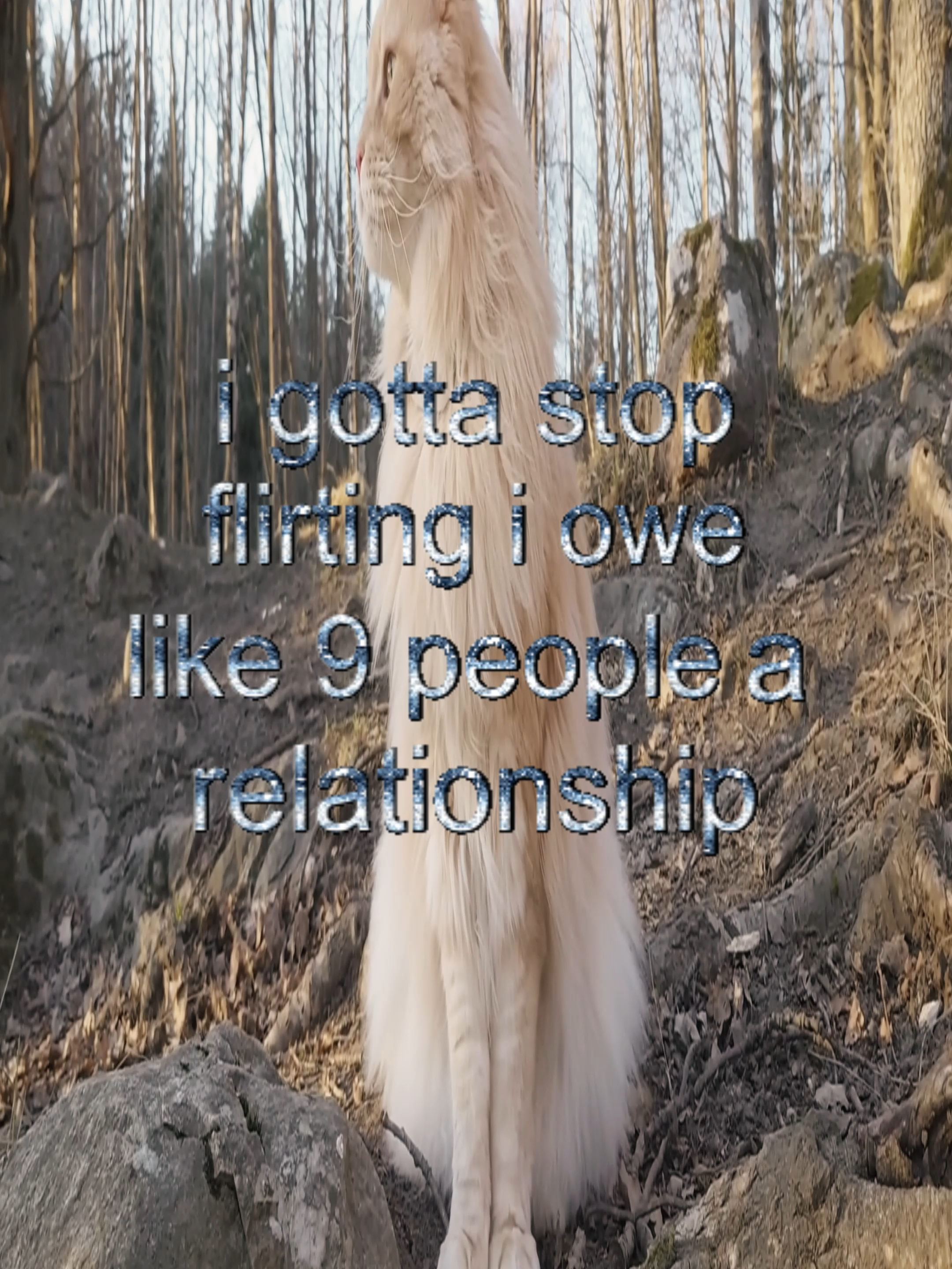 forgive me #real #thoughts #fyp #cats #catcore #relatable #swag
