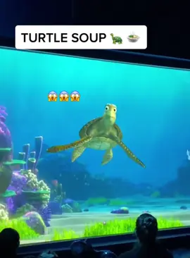 Disneyland funny moments 🥰✨🤣#foryou #fyp #usa🇺🇸 #disney #disneyland #chush #turtle #findingnemo 